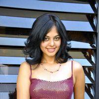 Bindu Madhavi Hot in Pink Gown Dress - Pictures | Picture 120952
